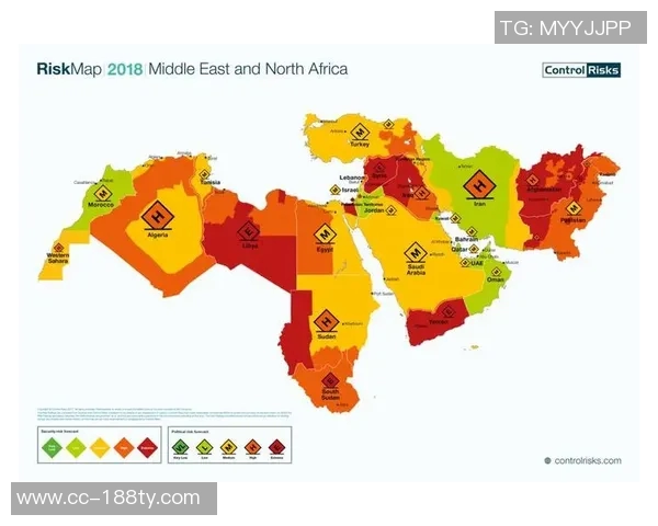 前裁判揭示在伯纳乌执法的风险与挑战引发广泛关注